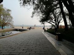 -八大关景区