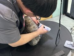 -中农大我爱我爱动物医院·核磁CT·猫病·24小时夜诊中心(石佛营店)