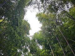 -敬亭山风景名胜区