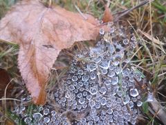 -福建鲤鱼洲酒店