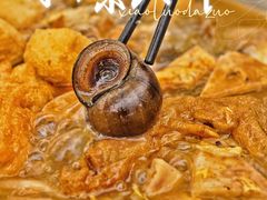 田螺鸭脚煲-小螺大作·螺蛳粉火锅(林和西店)