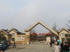 -水杉园