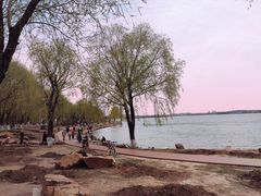 -丁香湖公园