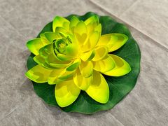 -纯泰泰式古法按摩SPA(丽景华庭店)