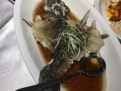-苔圣园酒家(尊木汇国际艺术广场店)