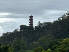 -南沙蒲洲花园
