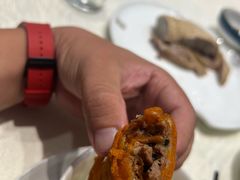 -丁老爷子苏香圆