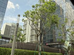 -深圳国际会展中心希尔顿酒店(前海华发冰雪世界店)