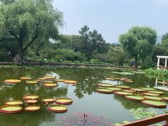 -国家植物园南园