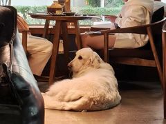 -咖法森林·咖啡  酒吧(天河店)