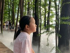 -东湖落雁景区
