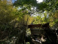 -藏龙百瀑风景区