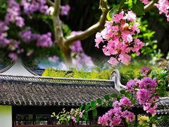 -上海醉白池公园
