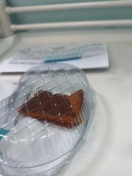 -武汉五洲整形外科医院