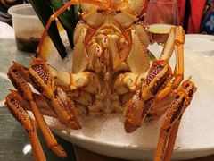 -金悦轩海鲜城(渔人码头店)