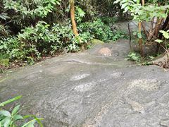 -水濂山森林公园