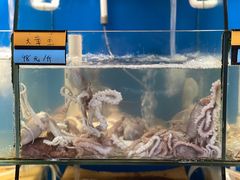 -胖大嫂渔家排档·全海景餐厅(渔村店)