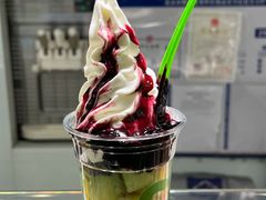 撒露-Salud撒露欧洲冻酸奶(蓝色港湾店)