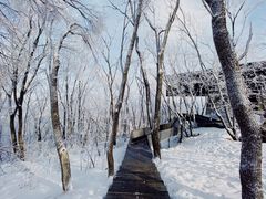 -中旅松花湖滑雪场