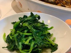 高山豆苗-南麓·浙里(外滩店)