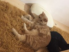 -小时光咖啡馆(开森度假森林店)