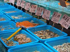 -蚝得喜海鲜(东城店)