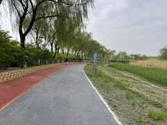 -大兴滨河森林公园