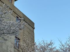 -武汉大学-樱园