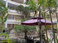 -金茂园大酒店