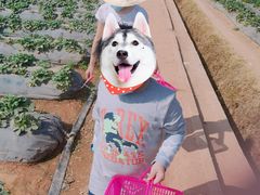 -任达丞国农庄(任达山庄店)