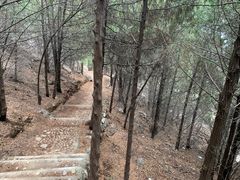 -府君山公园