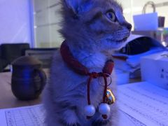-语朵教育·日韩德法留学(曹杨校区)