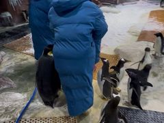 -海合安武汉极地海洋公园