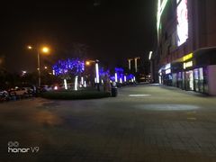 -琥珀老六龙虾(四里河店)