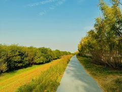 -渭河城市绿地运动公园