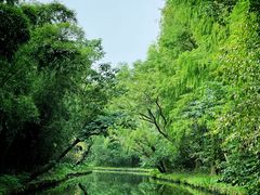 -同里国家湿地公园