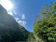 -黑河国家森林公园
