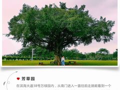 -万绿园