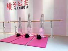 -桃子公主舞蹈培训(万柳校区)