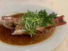 -广东名门