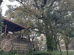 -普陀山雷迪森庄园