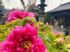 -钱王祠