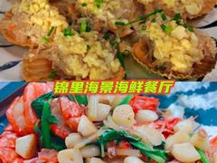 -三亚市图书馆