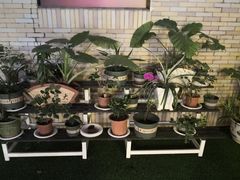 -米粒咖啡小屋(国贸店)