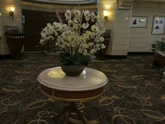 -上海国际饭店