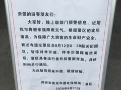 -西安乐游原