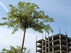 -宝安西湾红树林湿地公园