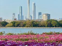 -海珠湖公园
