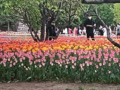 -长春公园(普阳街道)