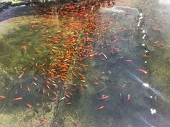 -鸿通城购物中心